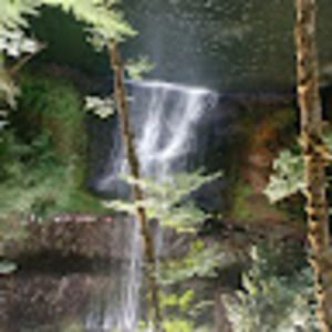 Meet your Posher, Sharon